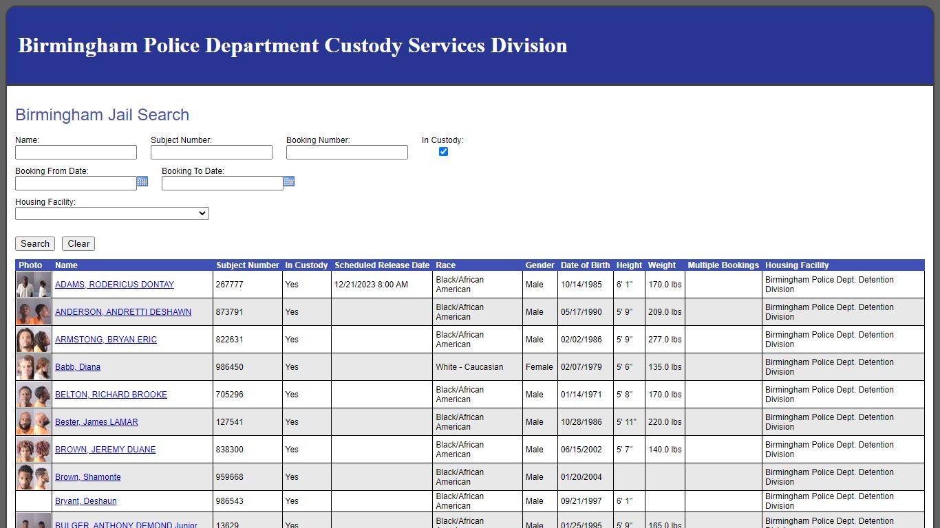 Birmingham Jail Search
